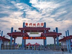 -曹州牡丹园