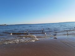 -金梦海湾浴场