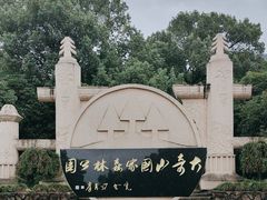 -大奇山国家森林公园