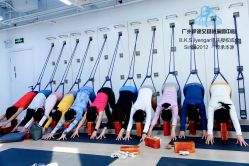 -广州萨谛艾扬格瑜伽中心