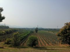 -北京张裕爱斐堡酒庄