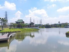 -王借岗森林公园
