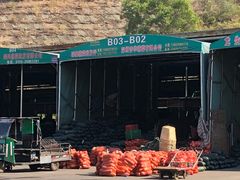 -海吉星国际农产品物流管理有限公司