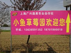 指示牌-小鱼草莓采摘园农家乐·小鱼餐厅