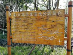 -重庆彩云湖湿地公园