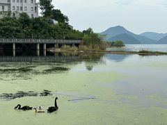-青山湖景区