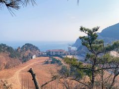 -棒棰岛宾馆景区