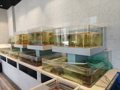 -至尊鲨鱼·原烹海鲜·新浙菜(拱宸桥店)