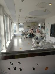 -橘米月子中心(青羊市妇幼店)