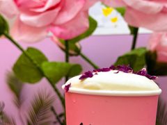 -鲜芒多·杨枝甘露(摩尔城A座10楼店)