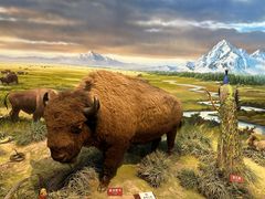 -陕西自然博物馆