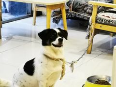 -平行世界·猫咖(首经贸店)