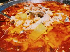 沸腾水煮鱼-新沸腾鱼乡(世贸天阶店)