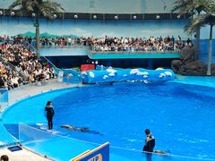 -海合安成都极地海洋公园