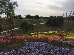 -都江堰玫瑰花溪谷