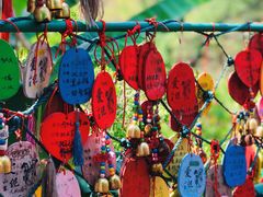 -西双版纳原始森林公园