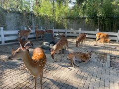 -北京野生动物园