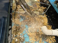 -苏格里岛自助烤肉海鲜火锅(成都金牛万达店)