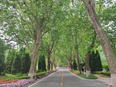 -棒棰岛宾馆景区