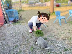 -菊园百果园