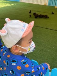 -萌宠亲子动物乐园(槐房万达店)