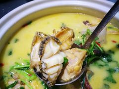 鲍螺鸡煲-金龙·打边炉(武进路店)
