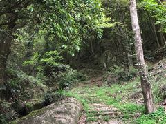 -普陀山风景区-佛顶山