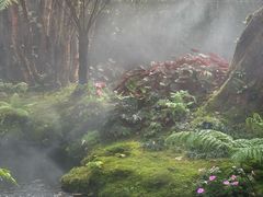 -Chom Cafe and Restaurant