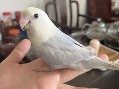 -博特宠物医院24h犬猫全科.骨科·异宠