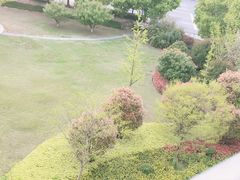 -青浦区凤溪小学