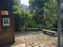 -华侨城湿地公园