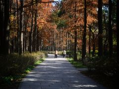 -共青国家森林公园-售票处