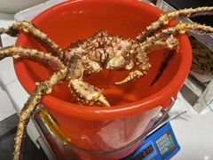 -渔人码头(中南店)