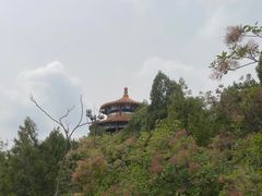 -府君山公园