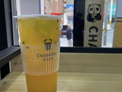 茉莉绿茶-茶百道(京华城店)