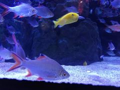 -成都浩海立方海洋公园