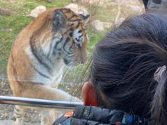 -西安秦岭野生动物园