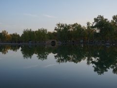 -金塔沙漠胡杨林景区