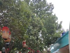 -郑州方特欢乐世界