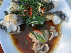 -头塘庄园(农家乐)