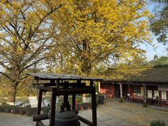 -佛荫寺