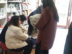 -爱宠有家宠物医院(彩虹桥总店)