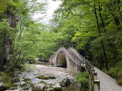 -牛背梁国家森林公园