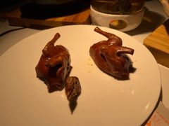 -三强鸽子(中原路店)