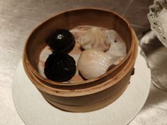 -荷唐·殿 Home Town Palace