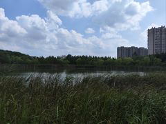 -昆山城市生态森林公园