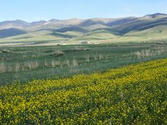-青海湖国家重点风景名胜区