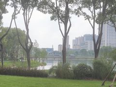 -后襄河公园