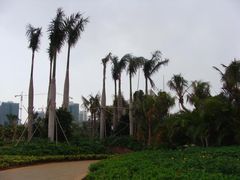 -白沙门生态公园