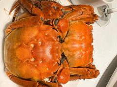 -洋洋中餐馆·SINCE 1997(信投店)